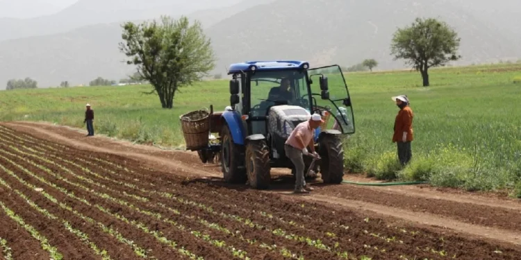 Turkiyede tarimsal destekleme modeli kokten degismeli