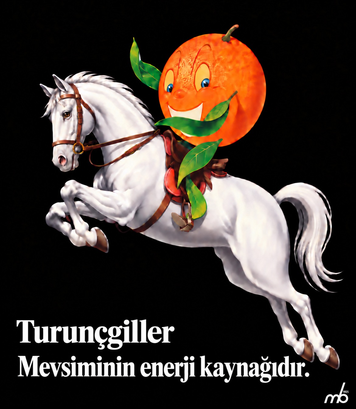 Turunçgiller enerji kaynağıdır! 3 Turuncgiller enerji kaynagidir