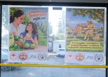 Adana’da Kış Aylarına Özel Sağlık Seferberliği: Şehir Turunçgil Afişleriyle Donatıldı