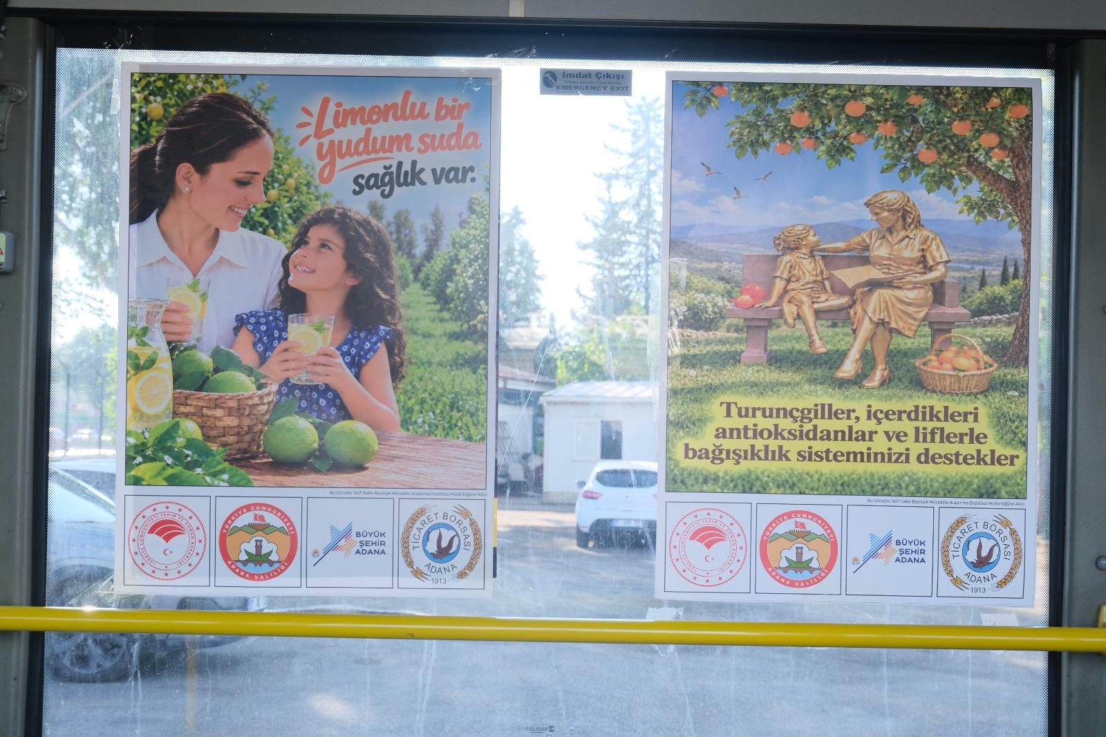 Adana’da Kış Aylarına Özel Sağlık Seferberliği: Şehir Turunçgil Afişleriyle Donatıldı