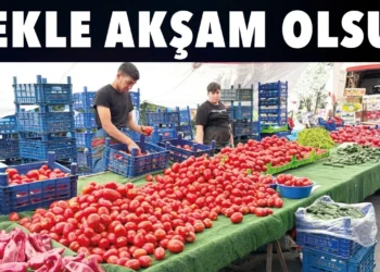 Akşam pazarı bu yetişen alıyor