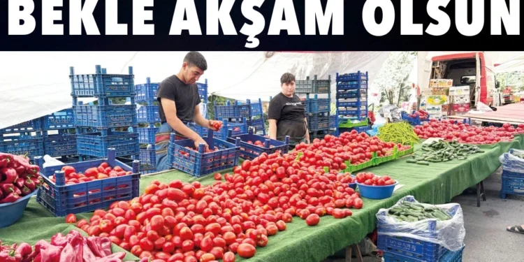 Akşam pazarı bu yetişen alıyor 1 aksam pazari