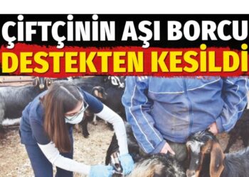 Çiftçinin aşı borcu destekten kesildi