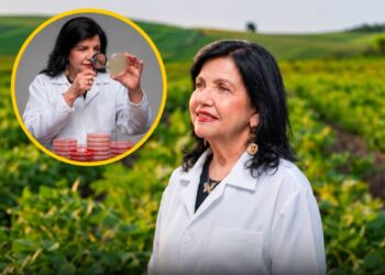 Bakterilerle Tarımı Değiştirdi: Brezilya Her Yıl Milyarlarca Dolar Tasarruf Ediyor