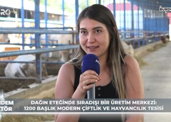 Bin 500 Rakımda Büyükbaş Hayvancılık! Avantajları ve Dezavantajları Neler? / Gündem Sektör