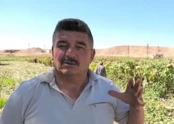 Çiftçi böyle feryat etti: Borcumu kapatabilmek için tarlamı sattım