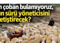 Bugün çoban bulamıyoruz, yarının sürü yöneticisini kim yetiştirecek? 7 Bugün çoban bulamıyoruz, yarının sürü yöneticisini kim yetiştirecek?