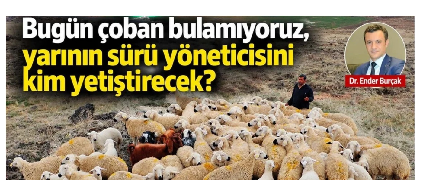 Bugün çoban bulamıyoruz, yarının sürü yöneticisini kim yetiştirecek?