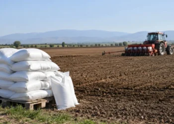 Pahalı gübre çiftçiyi geri çekti: DAP ithalatı sert düştü