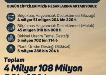 4 milyar 108 milyon TL destekleme ödemesi bugün  çiftçilerin hesaplarına aktarılıyor