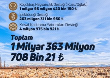 1.3 Milyar Liralık Destekleme Ödemesi Bugün Hesaplara Aktarılıyor