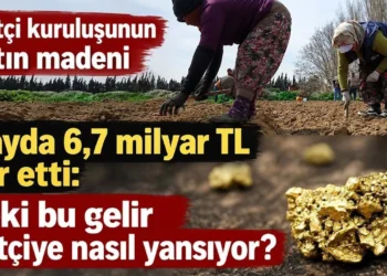 Çiftçi kuruluşunun altın madeni 6 ayda 6,7 milyar TL kar etti: Peki bu gelir çiftçiye nasıl yansıyor?