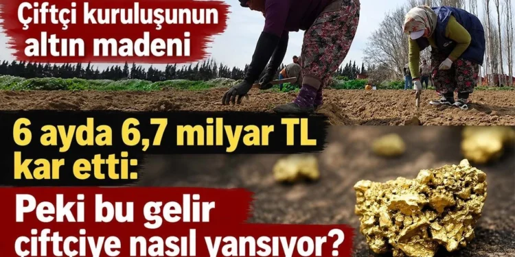 Çiftçi kuruluşunun altın madeni 6 ayda 6,7 milyar TL kar etti: Peki bu gelir çiftçiye nasıl yansıyor? 1 gubretas