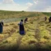 Anavatanında ithal mercimek dönemi: Türkiye üretti, Kanada kazandı 4 Anavatanında ithal mercimek dönemi: Türkiye üretti, Kanada kazandı