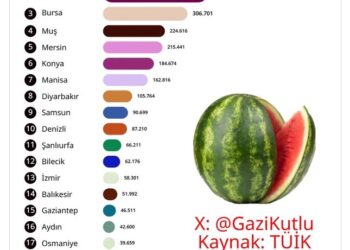 Gazi Kutlu: Dünya karpuz üretiminde 3. sırada yer alan ülkemizde en çok karpuz üreten ilk 20 ilimiz