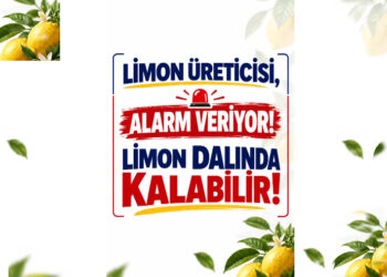 Limon dalında kalabilir!