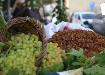 İktidar geçen yılın altında fiyat açıkladı: Kuru üzümde şok!