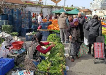 Hayri Kozanoğlu ,Yine inandırıcılıktan uzak bir OVP