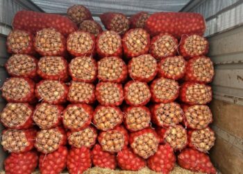 Çiftçinin umutlarını çöpe döküyorlar