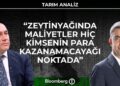 Tarım Analiz – “Zeytinyağında Maliyetler Hiç Kimsenin Para Kazanamayacağı Noktada”
