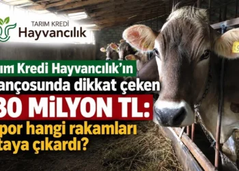 Tarım Kredi Hayvancılık'ın bilançosunda dikkat çeken 130 milyon TL: Rapor hangi rakamları ortaya çıkardı? - Tarımdan Haber