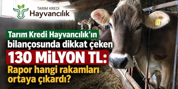 Tarım Kredi Hayvancılık'ın bilançosunda dikkat çeken 130 milyon TL: Rapor hangi rakamları ortaya çıkardı? - Tarımdan Haber