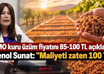 TMO kuru üzüm fiyatını 85-100 TL açıkladı! Şenol Sunat: “Maliyeti zaten 100 TL