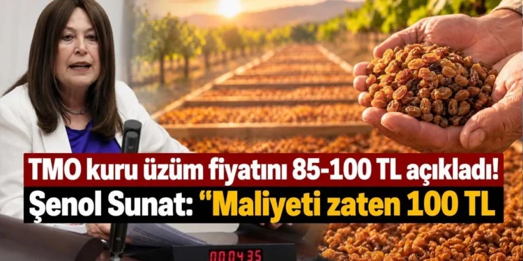 tmo kuru uzum fiyati 2026 senol sunat