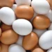 Yumurta fiyatlarına tane başı 2 liralık zam!