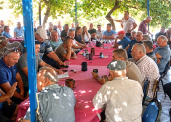 Üreticiler karar aldı, ürünler dalda kaldı: 10 gün boyunca zeytin toplanmayacak