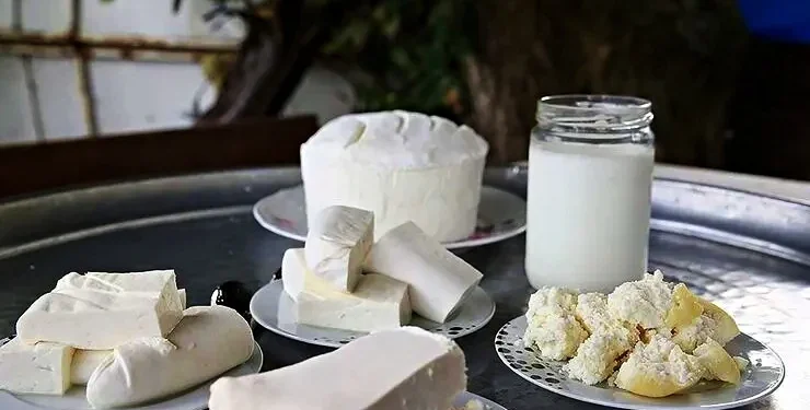 Altı yoğurt ve tereyağında taklit-tağşiş 1 Alti yogurt ve tereyaginda taklit tagsis