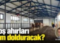 Boş ahırları kim dolduracak?