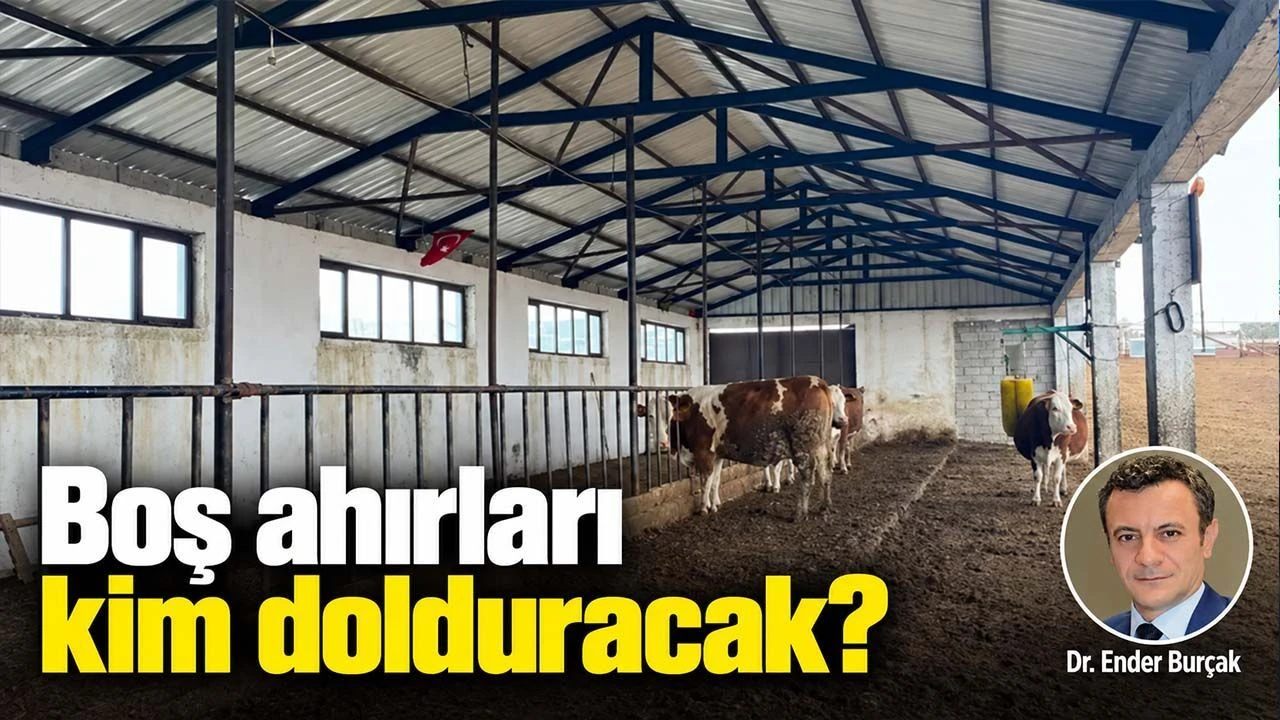 Bos ahirlari kim dolduracak