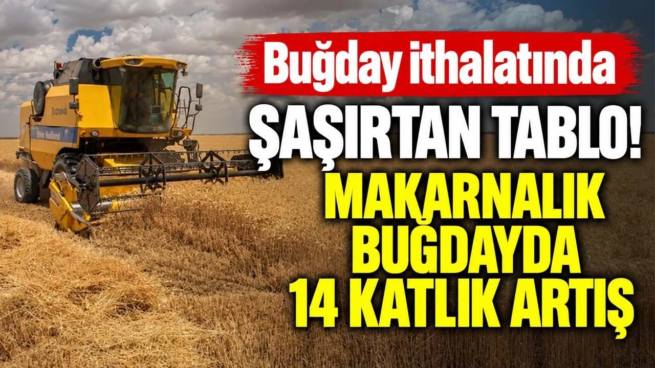 Bugday ithalatinda sasirtan tablo