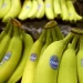 Chiquita, muz fiyatlarının yükselmesini bekliyor 12 Chiquita, muz fiyatlarının yükselmesini bekliyor