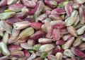 Fıstığın kilosu 600 TL ama çiftçiye asgari ücret bile kalmıyor! İşte üreticinin hesabı