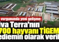 Fon vurgununda yeni gelişme: Viva Terra’nın 1.700 hayvanı TİGEM’e yediemin olarak verildi 6 Fon vurgununda yeni gelişme: Viva Terra’nın 1.700 hayvanı TİGEM’e yediemin olarak verildi