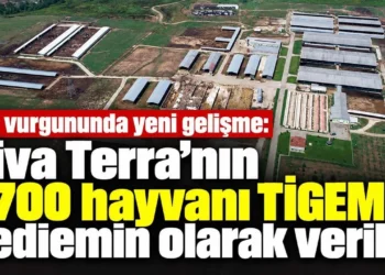Fon vurgununda yeni gelişme: Viva Terra’nın 1.700 hayvanı TİGEM’e yediemin olarak verildi