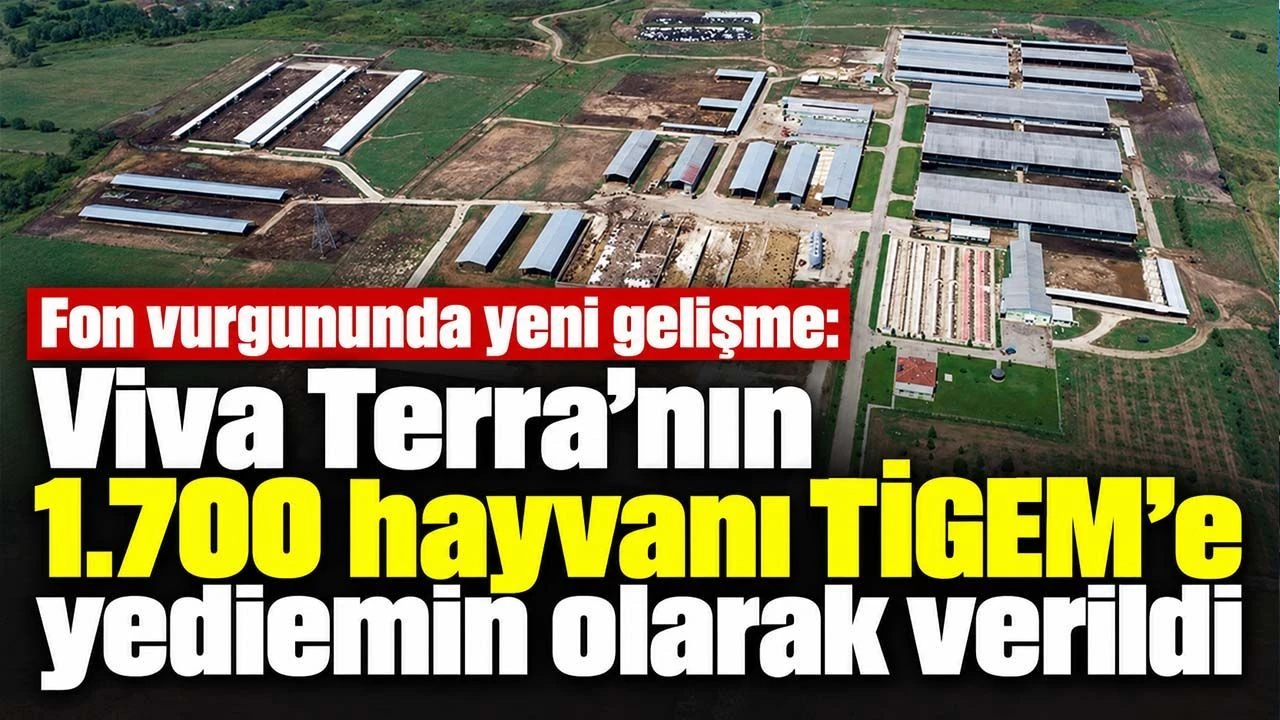 Fon vurgununda yeni gelişme: Viva Terra’nın 1.700 hayvanı TİGEM’e yediemin olarak verildi