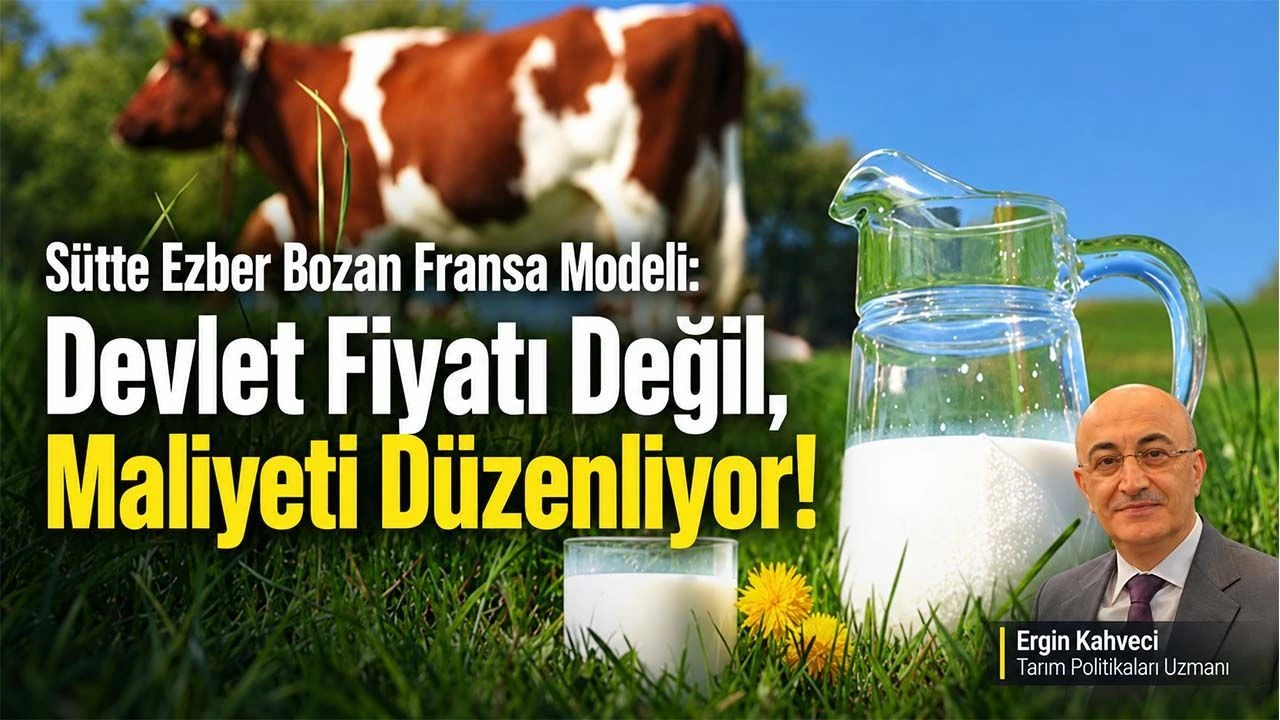 Fransa sut fiyatini belirlemiyor peki o halde ne yapiyor