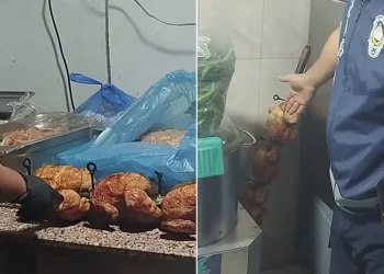 Hatay’da restoranda mide bulandıran görüntüler: 15 kilo bozuk tavuk ele geçirildi!