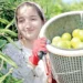 Karadeniz kapandı narenciye dalda kaldı