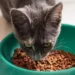 Kedi maması araştırması: Ağır metal, pestisit ve plastik tespit edildi