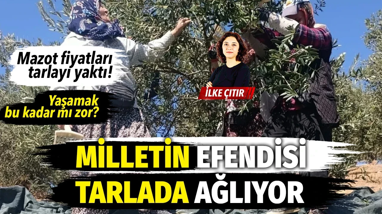 Milletin efendisi tarlada agliyor