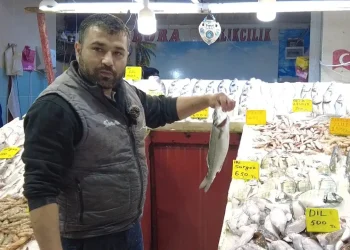 Palamut frene bastı, Marmara’nın ‘efendisi’ geri döndü! Tanesi 400 liradan tezgaha indi…