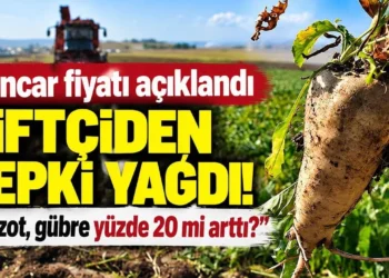 Pancar fiyatı açıklandı, çiftçiden tepki yağdı! “Mazot, gübre yüzde 20 mi arttı?