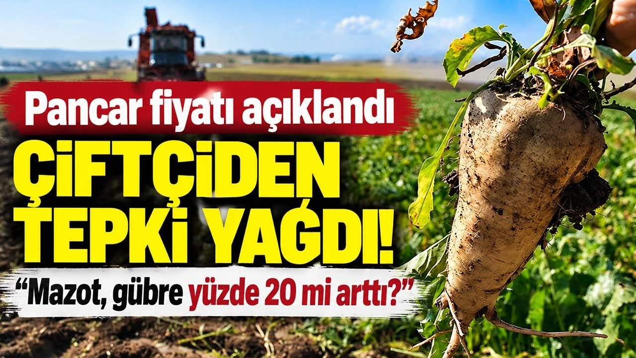 Pancar fiyati aciklandi
