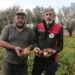 Patateste yılın son hasadı 29 Ekim’de: 500 bin ton rekolte bekleniyor