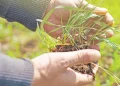 TARSİM’e 10 ayda 478 bin hasar ihbarı yapıldı