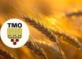 TMO, kasımda piyasaya 5,5 milyon ton hububat arz edecek 8 TMO, kasımda piyasaya 5,5 milyon ton hububat arz edecek